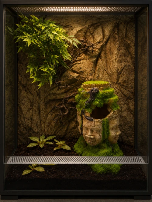 terrarium urządzone dla gekona płaczącego produkty do terrarium