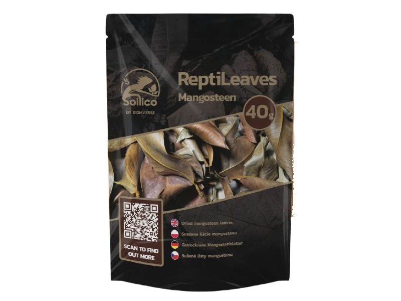 ReptiLeaves Mangosteen 40g liście mangostanu do terrariów tropikalnych