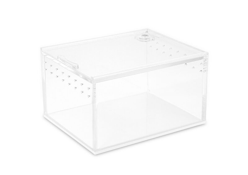 Terrarium akrylowe dla pająka skakuna 10,5x8,5x6cm