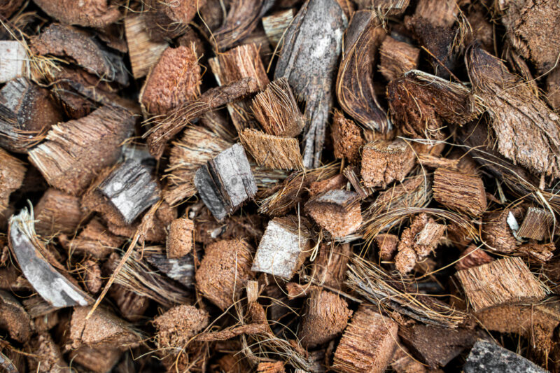 Soilico CocoBase COARSE 3l chipsy kokosowe do terrariów