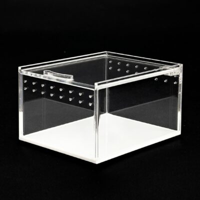 Terrarium akrylowe dla pająka skakuna 10,5x8,5x6cm