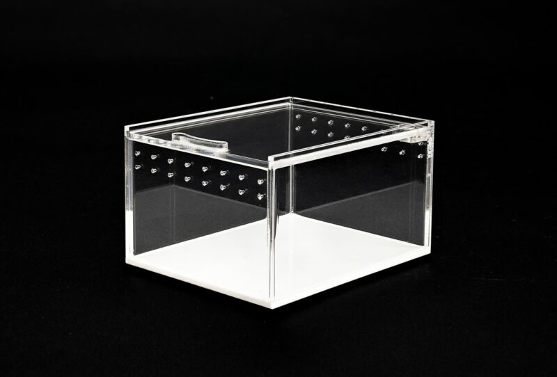 Terrarium akrylowe dla pająka skakuna 10,5x8,5x6cm