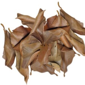 ReptiLeaves Mangosteen 40g liście mangostanu do terrariów tropikalnych