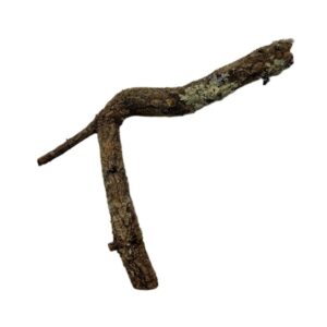 Gałęzie korkowe proste do terrarium 100-120cm