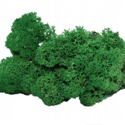 xr:d:DAF8Ij4prEY:4,j:2224070278120103517,t:24020718 Mech Chrobotek naturalny zielony 100g