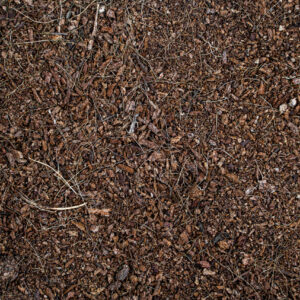 Soilico CocoBase FINE 3l chipsy kokosowe do terrariów