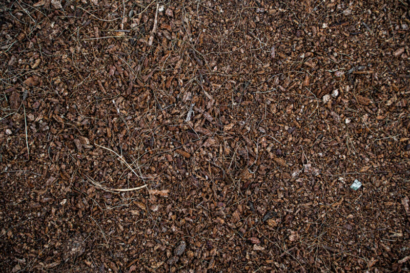 Soilico CocoBase FINE 3l chipsy kokosowe do terrariów