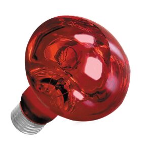 Nocna żarówka grzewcza na podczerwień Happet 25W