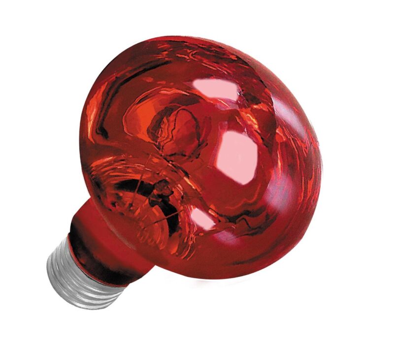 Nocna żarówka grzewcza na podczerwień Happet 25W