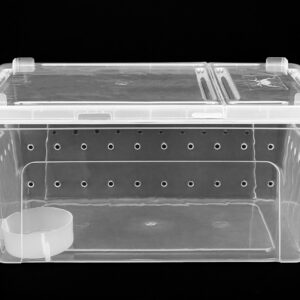 Pojemnik hodowlany BREEDING BOX 32x22x15cm