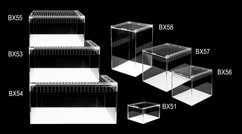 Terrarium akrylowe dla pająka skakuna 10,5x8,5x6cm