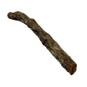 Gałęzie korkowe proste do terrarium 40-45cm