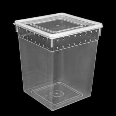 Pojemnik hodowlany BREEDING BOX 21x21x25cm