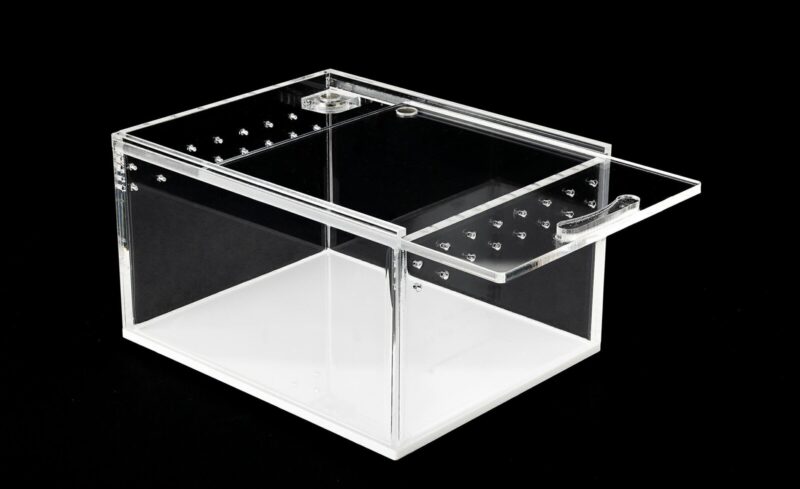 Terrarium akrylowe dla pająka skakuna 10,5x8,5x6cm