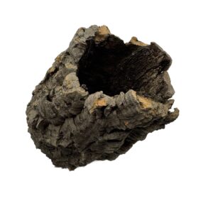 Tuby korkowe do terrarium 14-18cm / 8-11cm