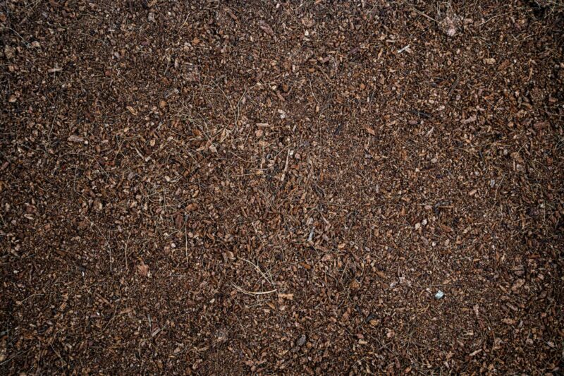 Soilico CocoEarth 3l tropikalne podłoże do terrarium