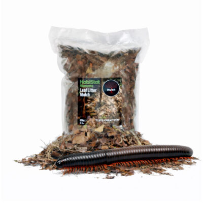 b6b15c85a227a39be1f131ebf6a493cb