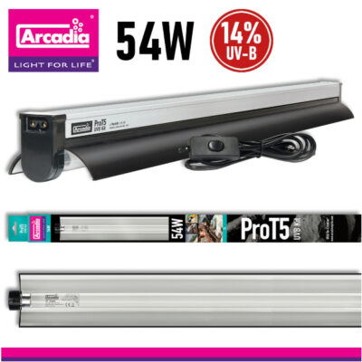 06ddba533dc046591b4c8fca8a8326f1.jpg 4836119e50032d34714a6b89b2944166