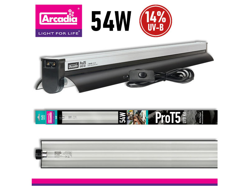 06ddba533dc046591b4c8fca8a8326f1.jpg 4836119e50032d34714a6b89b2944166