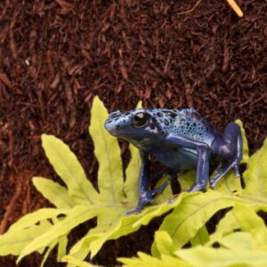 b721dbac2b531481814e80b473d6b6a6