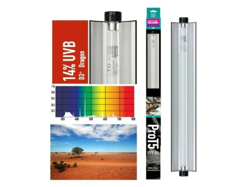 157c21ac029486fac1c49141b04a37a1.jpg 2513f96a4df7efb5d01188b244c2b53c