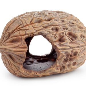 Dekoracja Ozdoba akwariowa orzech Happet 20 cm