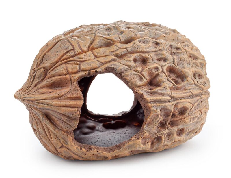 Dekoracja Ozdoba akwariowa orzech Happet 20 cm