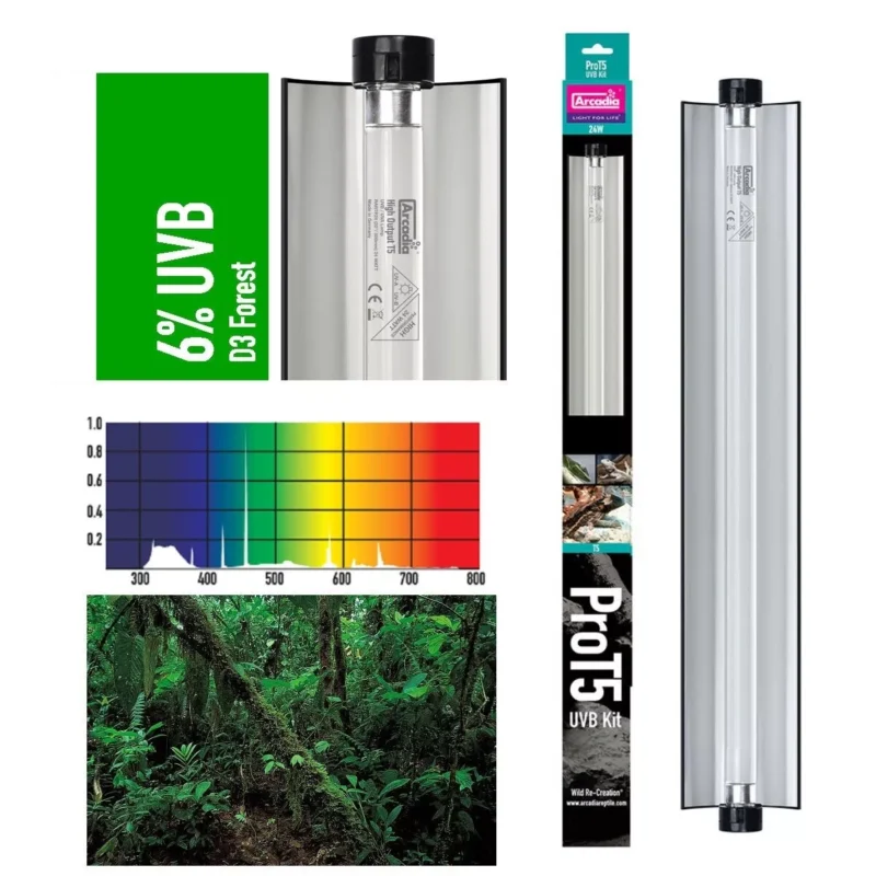 2af4f9f77eb69464297ea64f190e5b51.webp 96975a847d65312dc991149eee1ae999