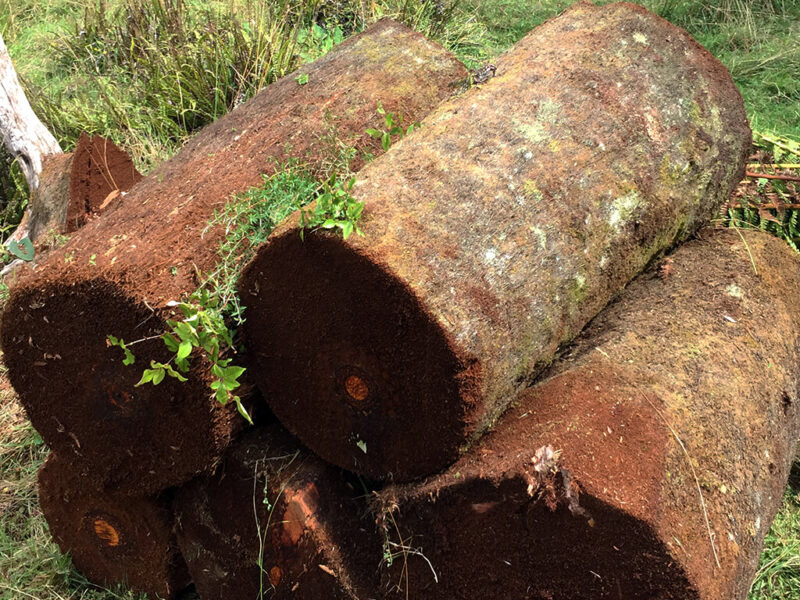 1652690040d8c022cf7c43a5a65baf55