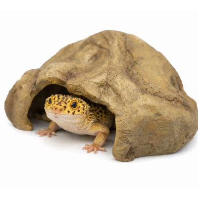 2cefa2454a3405994608e2d9dbc9e2cb.jpg 8e4745332b661a17987d2e5084446754