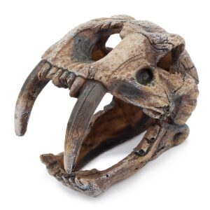 Dekoracja Ozdoby akwariowe - czaszka z kłami Happet