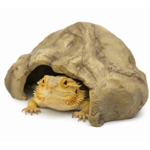 47db5d5a2894168d80614ac51097117d