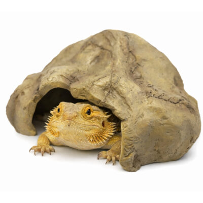 47db5d5a2894168d80614ac51097117d