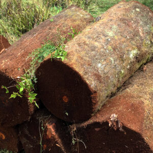 1652690040d8c022cf7c43a5a65baf55