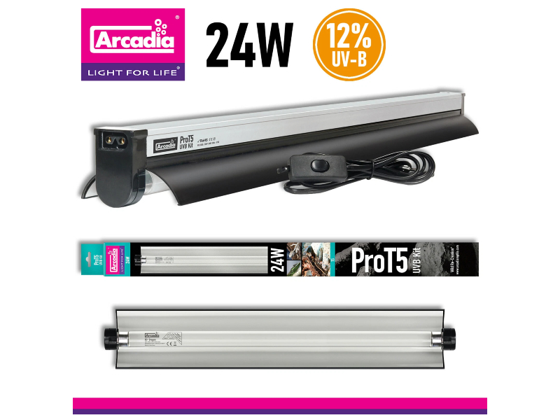 3352131f29d1894eeaa246e38ffcd832.jpg 0ad402a871d814f7a217736da360e35c