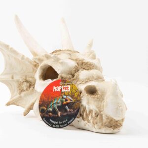 Dekoracja ozdoba terrarium czaszka smok Happet