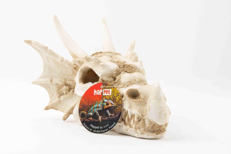 Dekoracja ozdoba terrarium czaszka smok Happet
