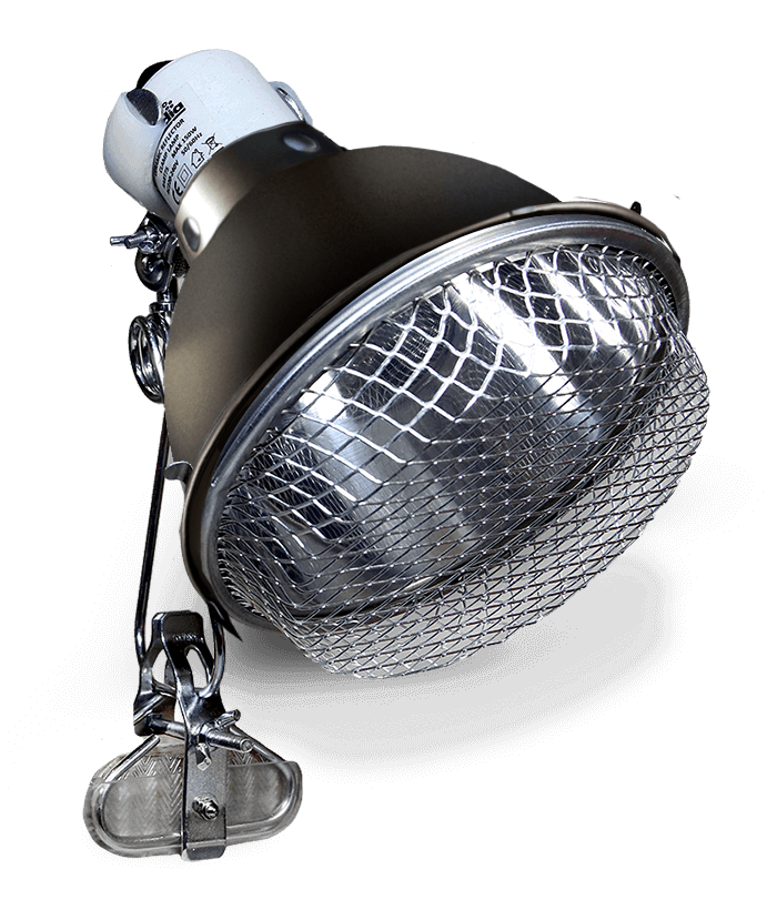 3ed4492c9a60913478d2861ba78edd90.webp 0720e21a87678428c37c94bc856c3b44