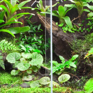 4e747d945cd4ea2afaf07c8e1a3965db