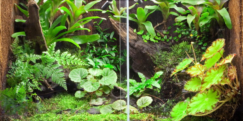 4e747d945cd4ea2afaf07c8e1a3965db