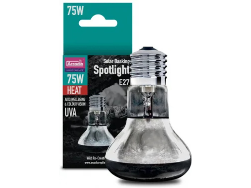 4b80565a82dd9cfbf4cb343686fb2974.jpg b1496eeca3f7606b2f6ef46a95c97f04