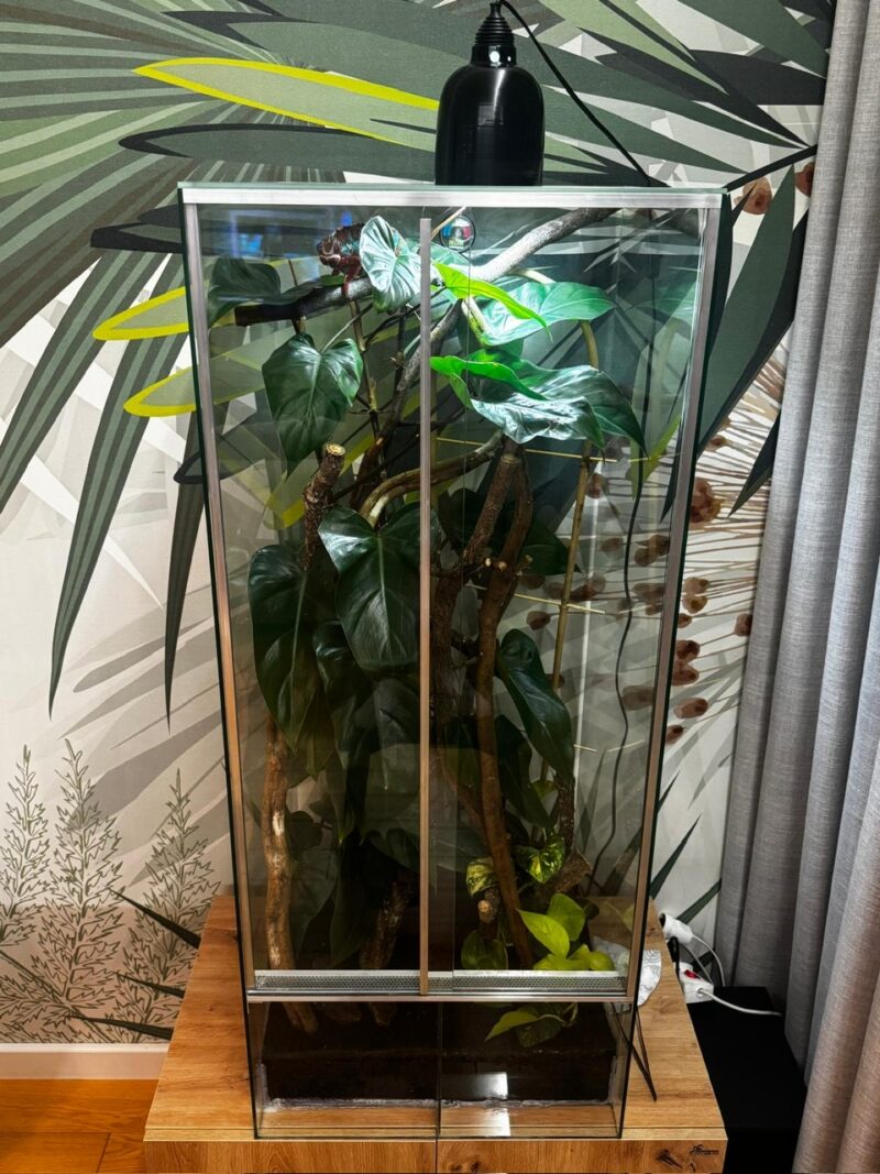 Terrarium dla kameleona z wentylacją szyba przesuwna 50x50x100