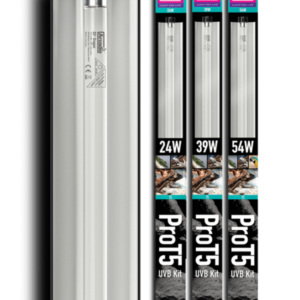 60a2f0bb6db40a2c1b9544476d665c41.webp 56f8a67e7db11079801e11e79b8db73e