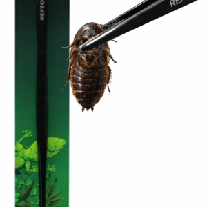 61ddc3279e6022c9fe7ba5568527dc68.png a8205879fe6da767a55b17ba34685e4f