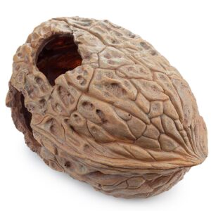 Dekoracja Ozdoba akwariowa orzech Happet 20 cm