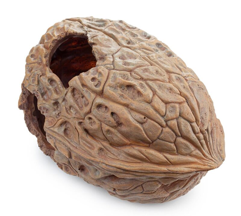 Dekoracja Ozdoba akwariowa orzech Happet 20 cm