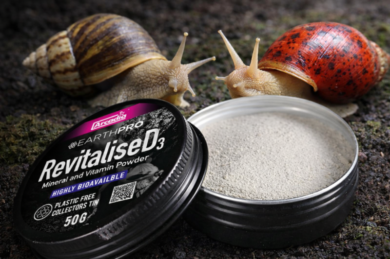 6572c4cb24ce128efff7dabd83ea14d3.png 4521f80ea439008385fbbe534725069b