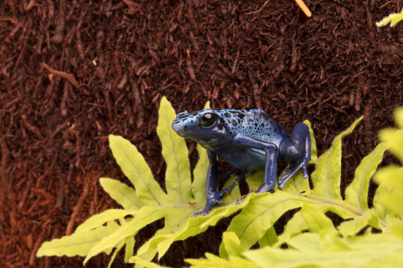 b721dbac2b531481814e80b473d6b6a6