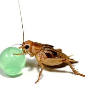 6c3435795969bd613f40f7e894224175.jpg 97ff17424f788c0cba29960ef4ade4bd