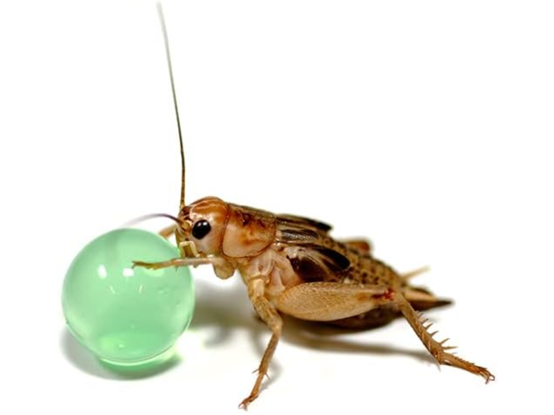 6c3435795969bd613f40f7e894224175.jpg 97ff17424f788c0cba29960ef4ade4bd